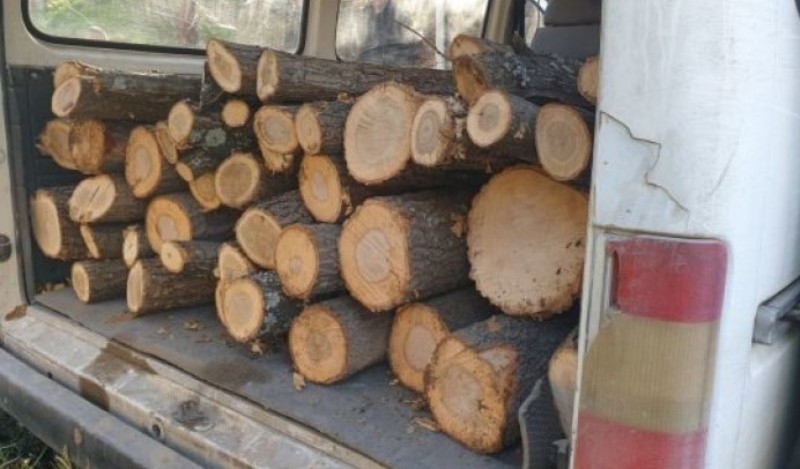Спипаха монтанчанин да товари бус с незаконни дърва във Врачанско