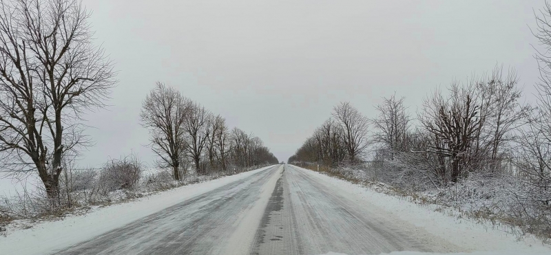 Premiers pas avec Google Photos