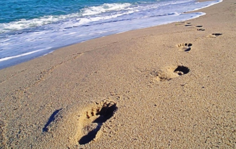 До 15 септември ще имаме добри условия за почивка на