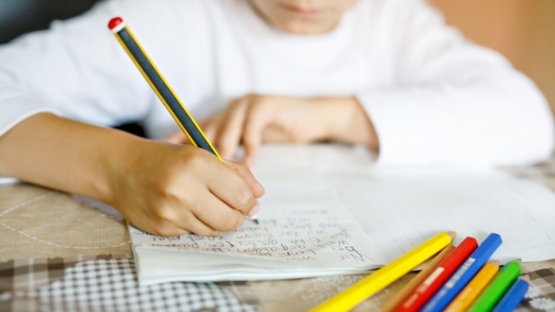 Извънредното положение в страната и идеята то да бъде удължено