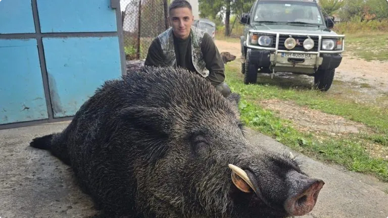 Цели 249 кг туловище с 29 см зъби – това