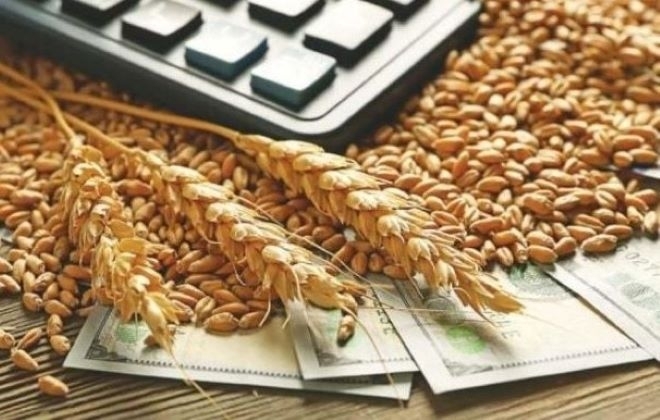 Понижението в цените на основните зърнени стоки на световните борсови