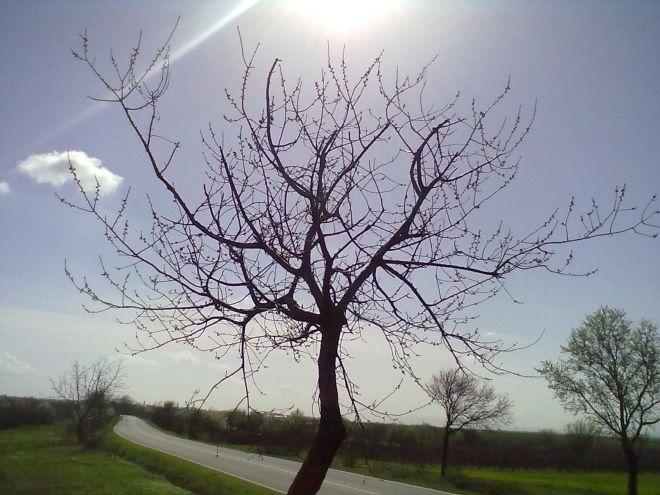 Днес преди обяд на места в Южна България все още ще