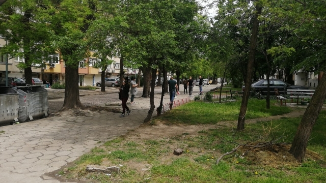 Земетресение от 4 2 по Рихтер е регистрирано на 11 км