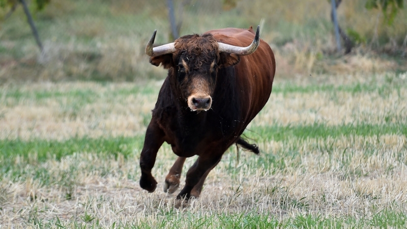 Мъж на 53 години е загинал след като е бил