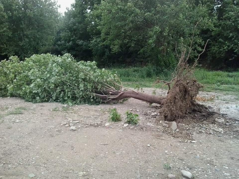 Мощна буря удари Монтана и нанесе огромни щети научи агенция