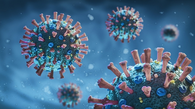 105 са новодиагностицираните с коронавирусна инфекция лица през изминалите 24