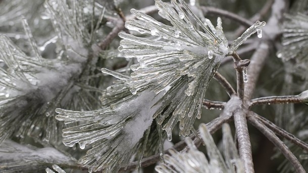 Националният институт по хидрология и метеорология издаде жълт предупредителен код