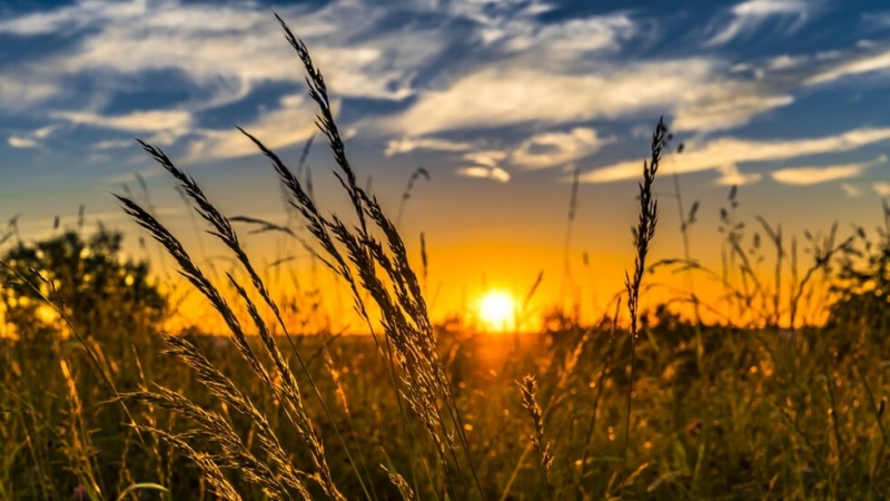 Горещото време у нас продължава показва справка в сайта на