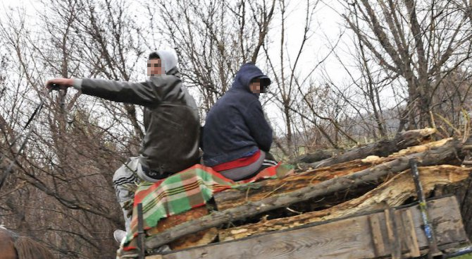 Задържаха бракониери, натоварили три каруци с незаконни дърва във Врачанско