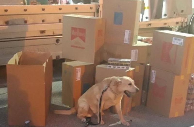 6150 кутии цигари с български акцизен бандерол откриха митнически служители