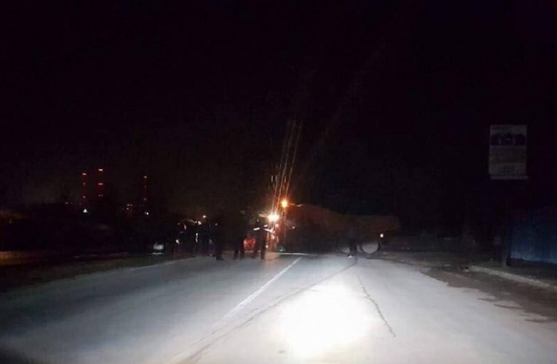Полицай се размаза в крава на пътя край АЕЦ Козлодуй, животното загина на място