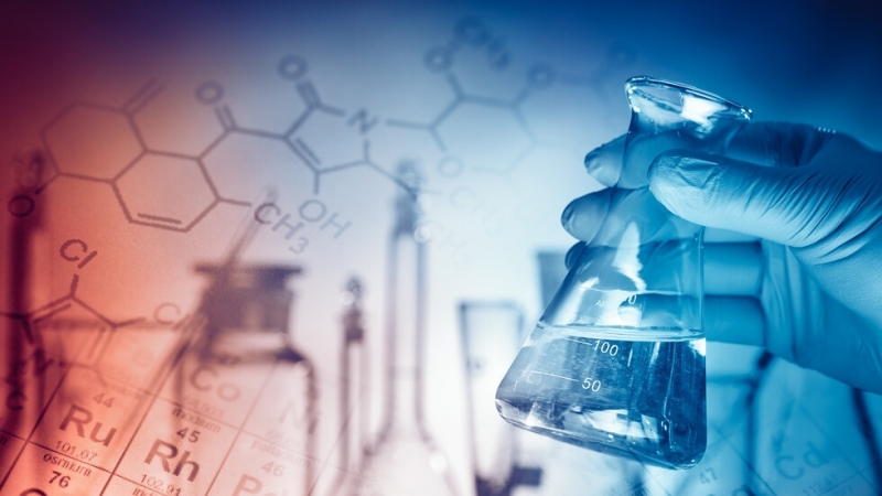 Учени от института Рикен в Япония установиха защо суперстолетниците