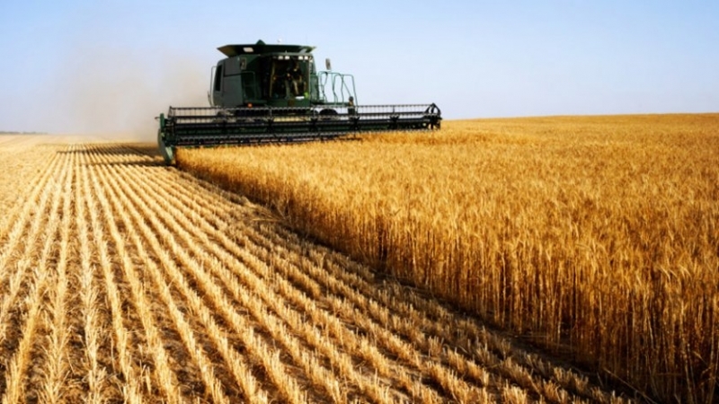 Инвазията на Русия затруднява износа на пшеница от Украйна цените