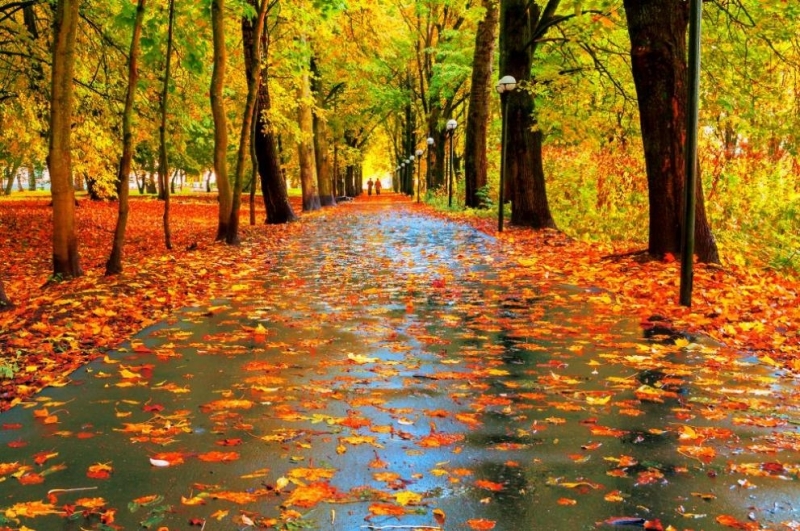 Днес от запад облачността отново ще се увеличи Ще духа