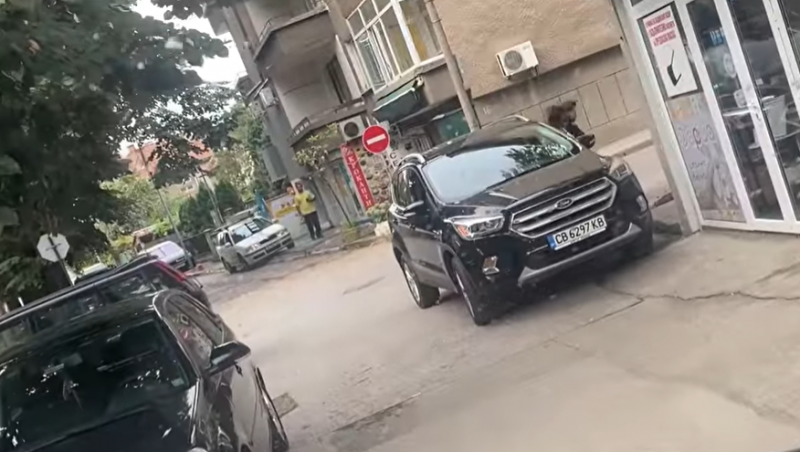 Софиянец ядоса монтанчани с нагло паркиране, научи агенция BulNews. 
Шофьор е