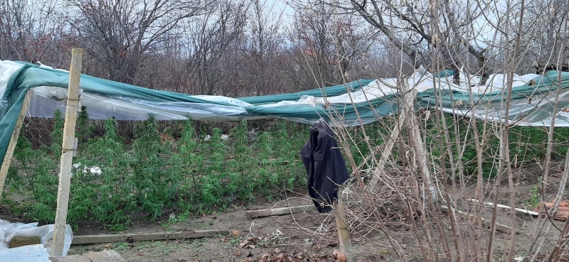 Под ръководството на Окръжна прокуратура Монтана се водят действия