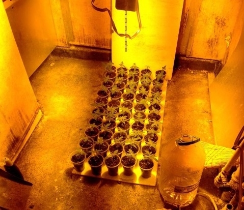 В следобедните часове на 7 октомври в хода на планирана