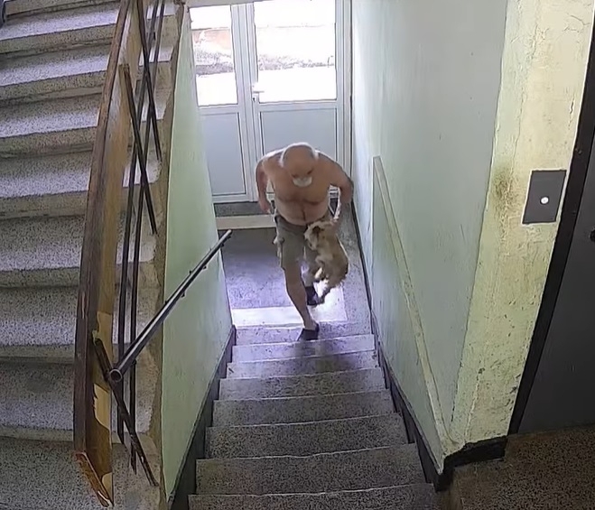 Врачанин малтретира брутално беззащитно кученце а зоополицията бездейства научи агенция