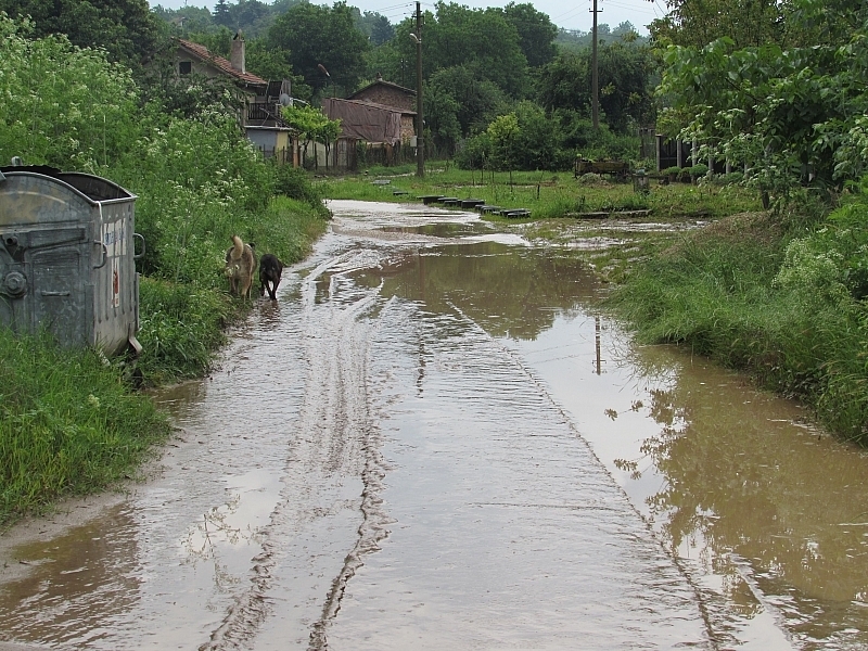 На третия ден от голямото наводнение в Роман улиците заприличаха