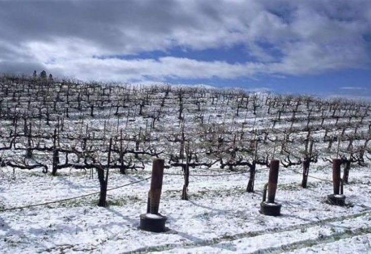 Благоевградчанин пострада тежко при кроитба на лозето си в местността