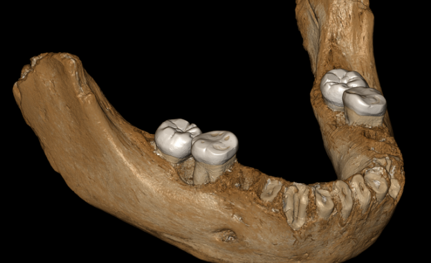 Долна челюст с големи зъби открита в пещера на 3300