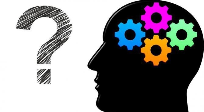 Учени от Харвардския университет твърдят че скицата на главния мозък