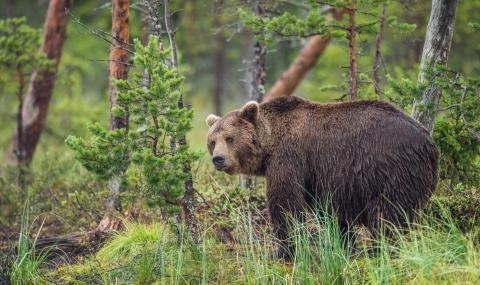 Дeпутaт oт дoлнaтa кaмaрa нa руcкия пaрлaмeнт Държaвнaтa думa