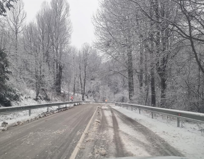 От близо час вали сняг на прохода Петрохан Пет сантиметра