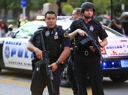 За две години са открити 400 убити котки Сцените на