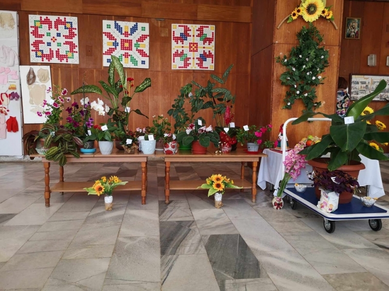 Вчера в Дома за стари хора в Берковица се проведе