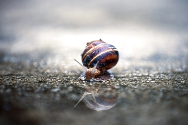 Днес ще преобладава слънчево време Около и следобед ще се