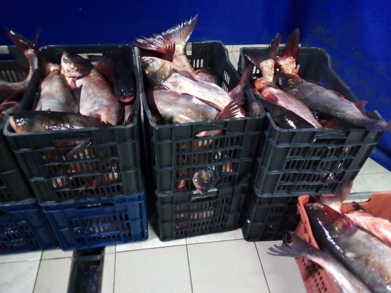 Инспектори от ИАРА в Монтана са конфискували близо 140 кг