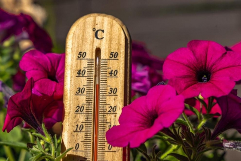 Жегите продължават: Очакват ни температури до 35°