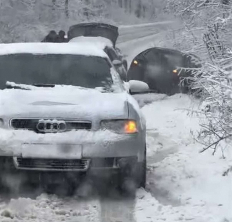 С падането на първия по сериозен сняг не се забавиха
