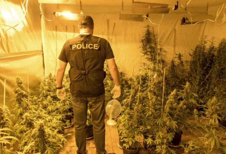 Специализирана полицейска операция за неутрализиране на организирана престъпна група занимаваща