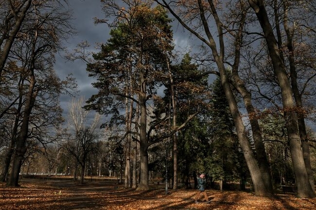 Днес над страната ще преобладава облачно време Още преди обяд