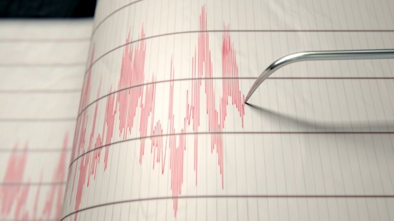 Земетресение от 7 по Рихтер беше регистрирано в южната част