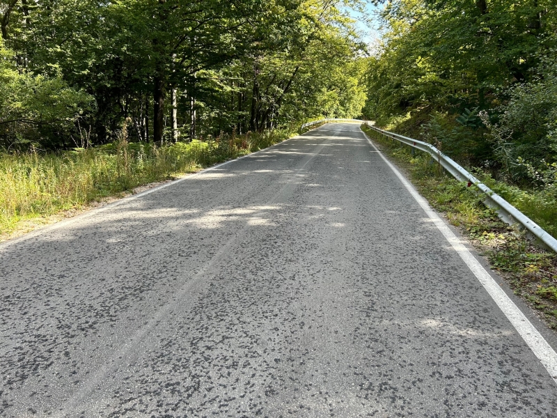 Починало е момичето което снощи скочи от кола по време