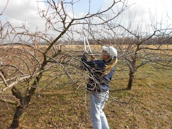 Земеделците в Пловдивския регион са в паника, тъй като заради