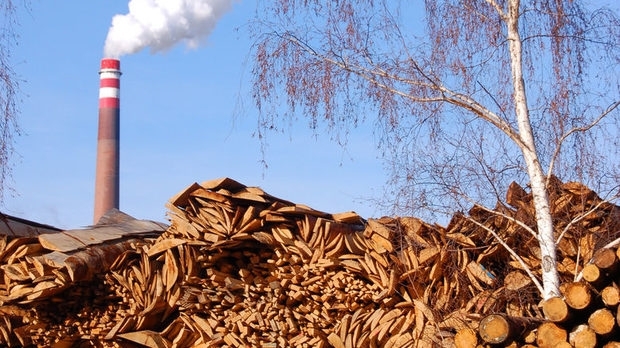 Ековластите санкционираха с максималната глоба фирмата заляла врачанска местност с