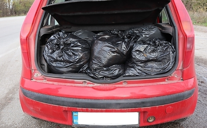 Плевенски полицаи близо 100 килограма нарязан тютюн без бандерол съобщиха