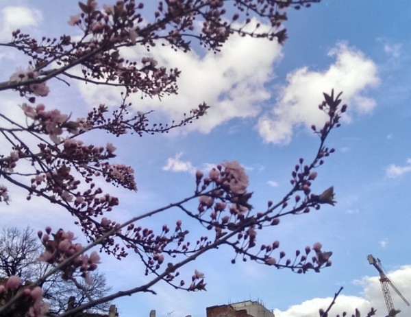 Два сезона ще се сменят днес