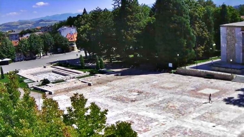 Днес след 23 30 часа ще бъде извършена дезинсекция срещу бълхи