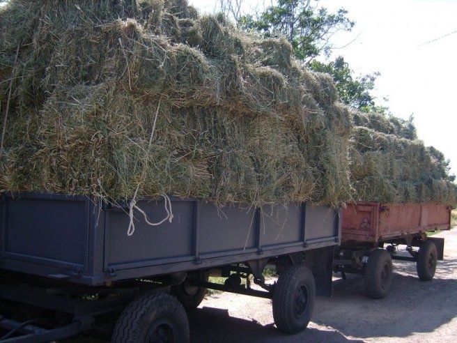 Полицията е задържала мъж задигнал бали с люцерна във Врачанско
