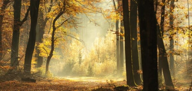 През нощта над по голямата част от страната ще бъде предимно