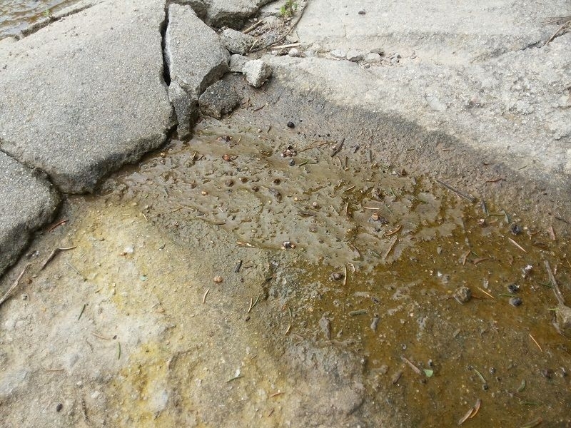 Собственик на смесен магазин залял улица в Мизия с фекалии