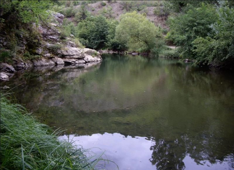 Две момчета са се удавили в река Осъм в Ловешко.
Трагедията