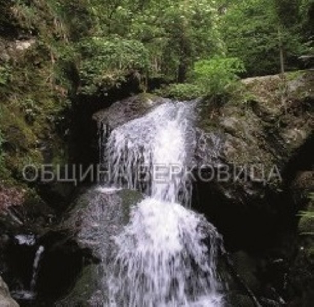 Община Берковица се включва в Националния конкурс за спонсорство на