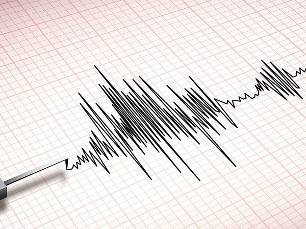 Нов слаб трус е регистриран на територията на Национален парк